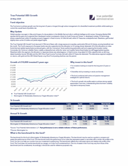 True Potential UBS Growth Factsheet