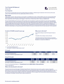 True Potential SEI Balanced Factsheet