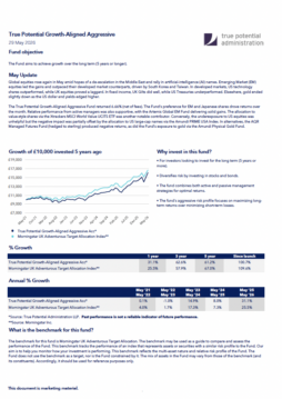 True Potential Growth-Aligned Aggressive Factsheet